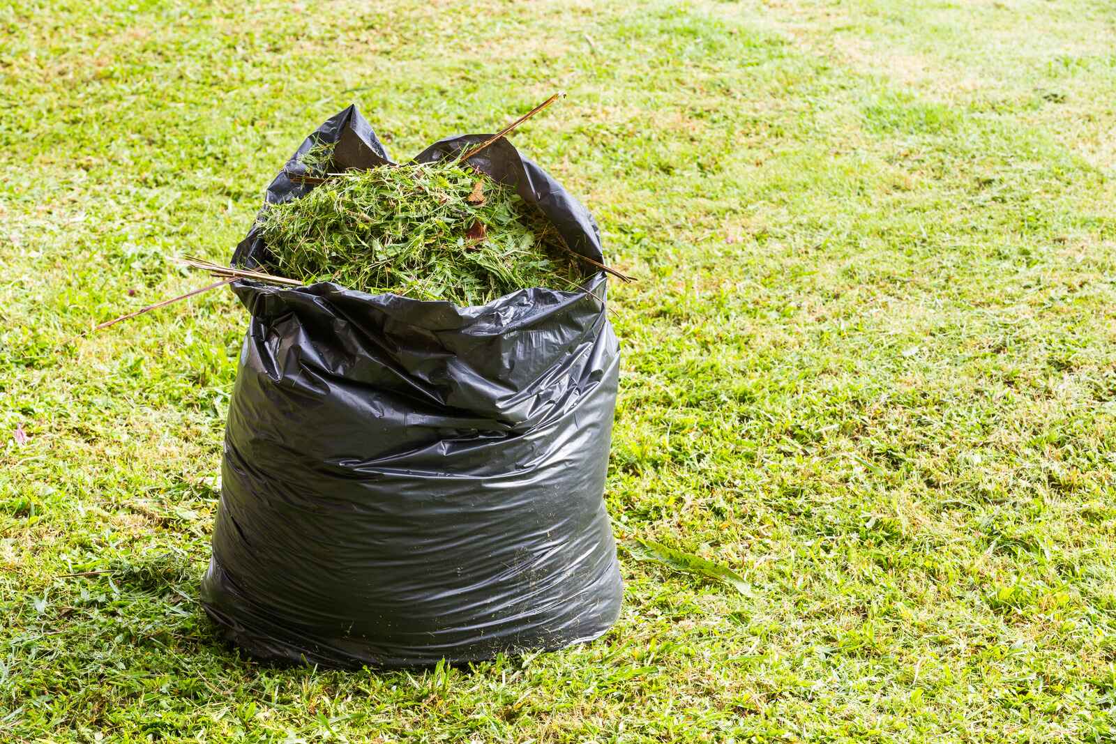Yard Waste & Junk Removal