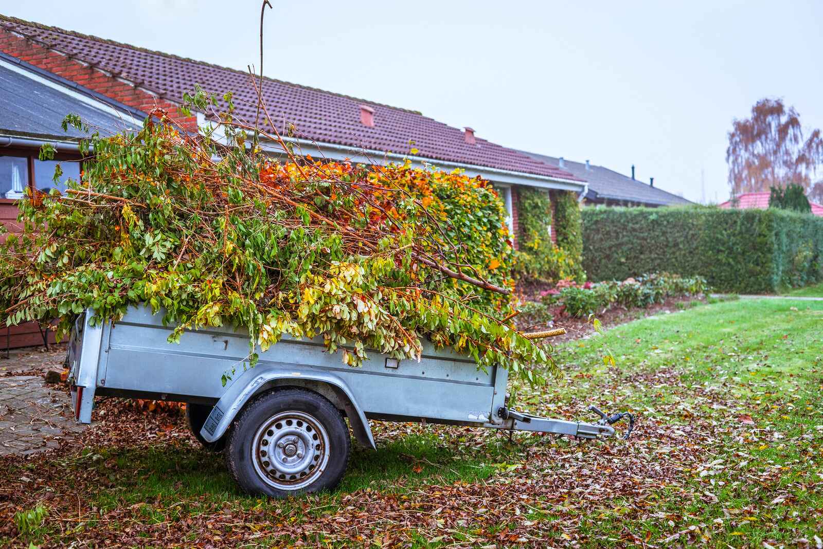 Yard Waste Removal
